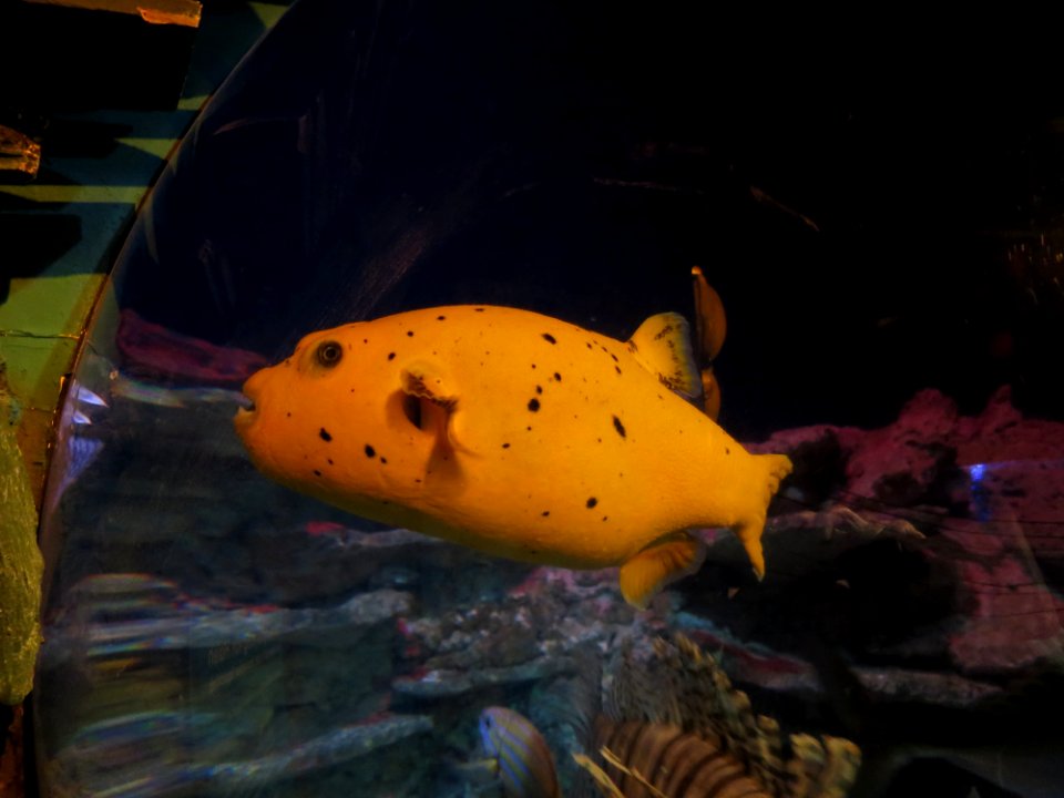 Sea Life München 10
