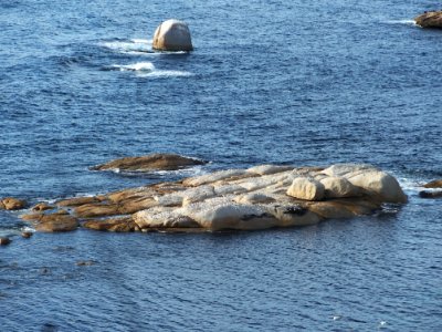 Sea rocks Bicheno 201907025-014