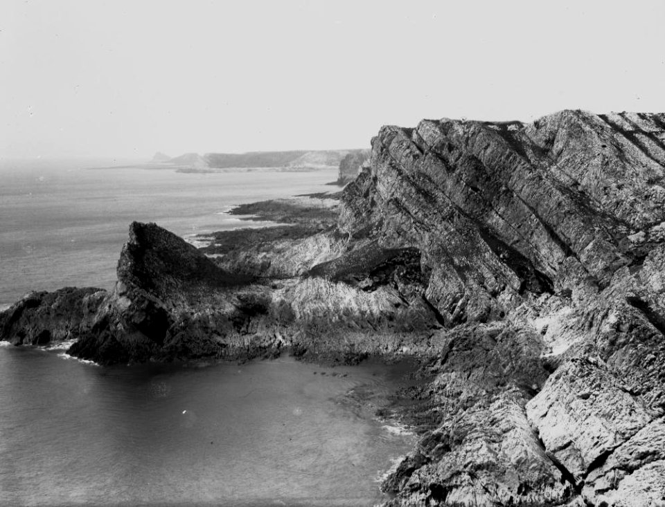 Sea shore (1294024)