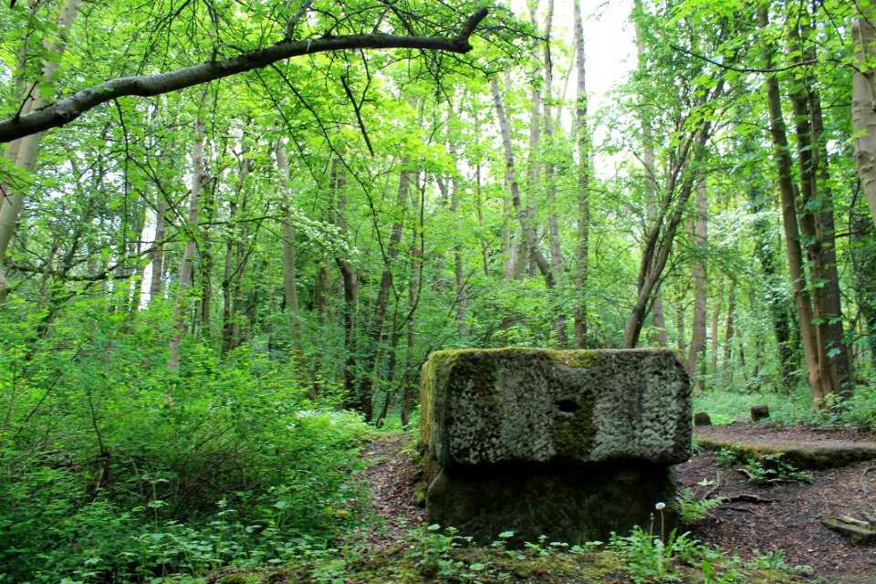 Scotland Mill, Adel 2019-05-17 (4)