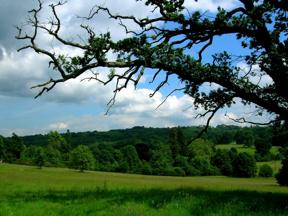 Scotney Castle estate