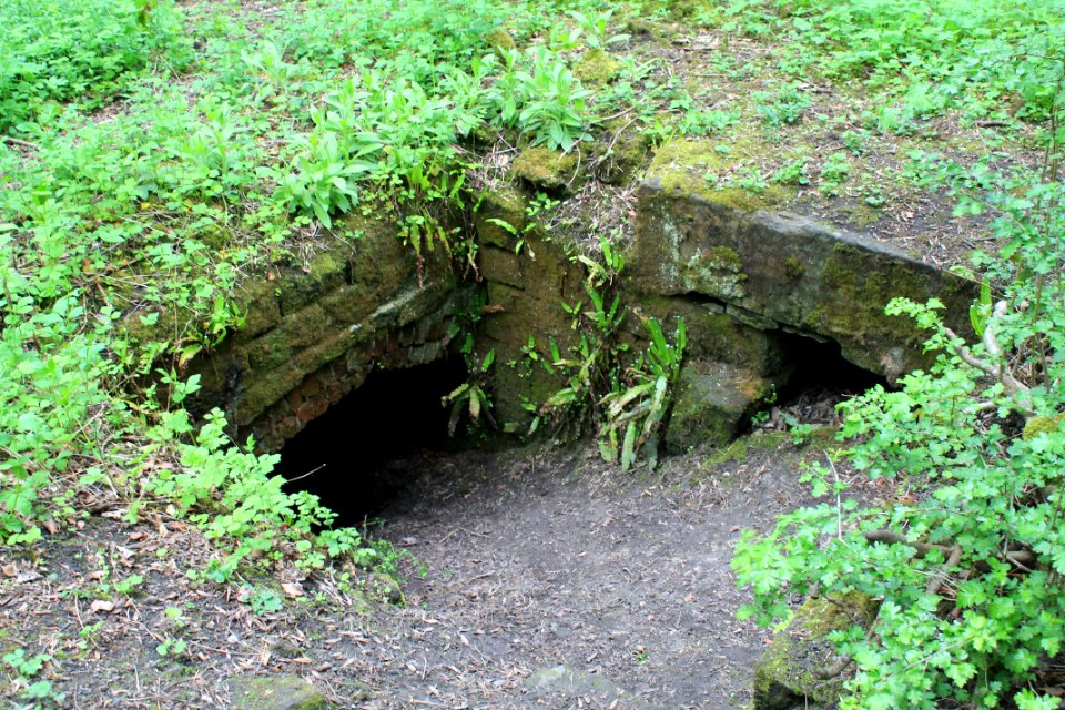 Scotland Mill, Adel 2019-05-17 (6)