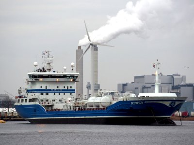 Scorpius IMO 9318228 in de Hornhaven, Port of Amsterdam, pic2