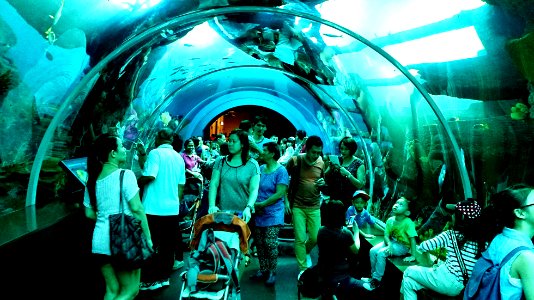 SEA aquarium photo