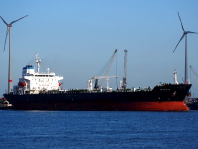 Sea Faith (ship, 2003) IMO 9258674 Port of Antwerp pic2