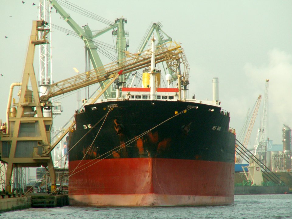 Sea Bird IMO 8117328 at Port of Antwerp, Belgium 12-Dec-2005