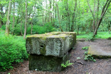Scotland Mill, Adel 2019-05-17 (5)