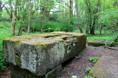 Scotland Mill, Adel 2019-05-17 (8)