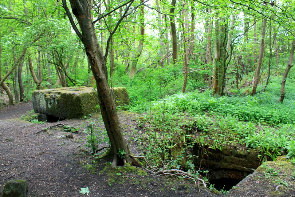 Scotland Mill, Adel 2019-05-17 (9)