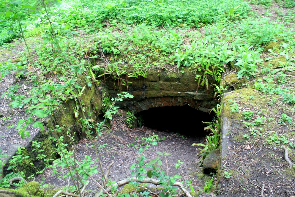 Scotland Mill, Adel 2019-05-17 (7)