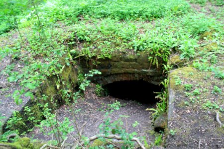 Scotland Mill, Adel 2019-05-17 (7)