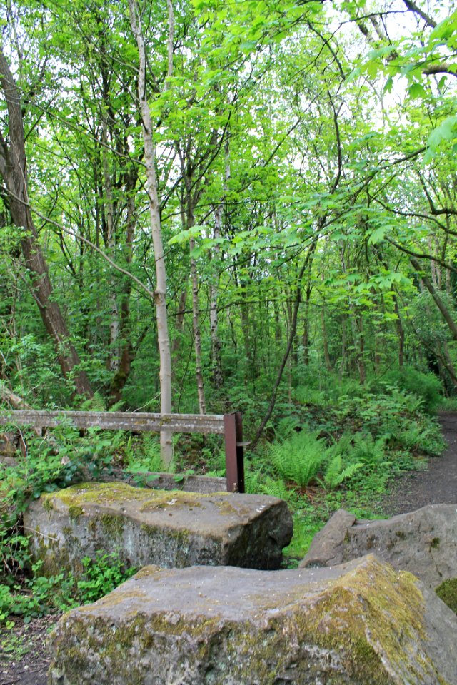 Scotland Mill, Adel 2019-05-17 (2)