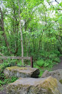 Scotland Mill, Adel 2019-05-17 (2)