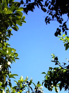 Blue sky blue frame