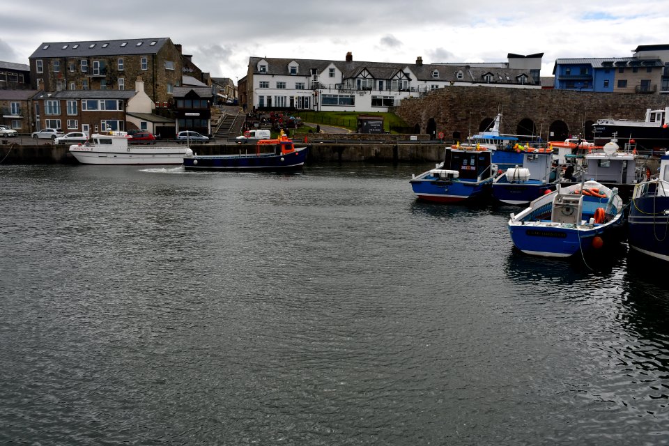Seahouses (2021-05-26) 17