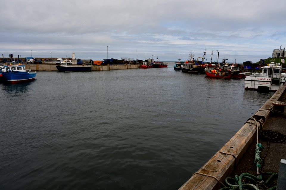 Seahouses (2021-05-26) 13