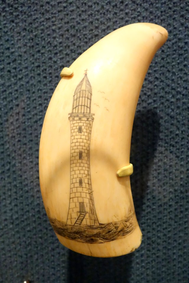 Scrimshaw, maker unknown, United States, 1825-1835, sperm whale tooth and pigment - Brooklyn Museum - DSC09575