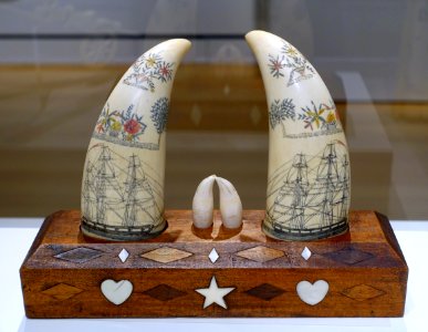 Scrimshaw whale teeth on an inlaid base, United States, 1825-1850, sperm whale teeth, wood, mother-of-pearl - Peabody Essex Museum - DSC07241