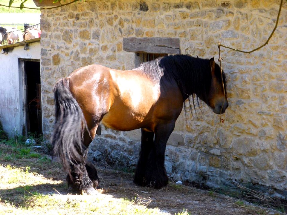 Santillana del Mar 05