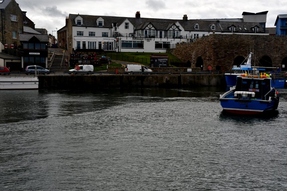 Seahouses (2021-05-26) 19