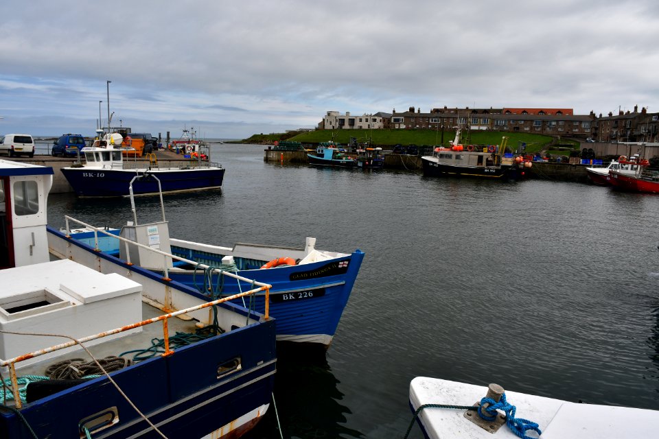 Seahouses (2021-05-26) 16