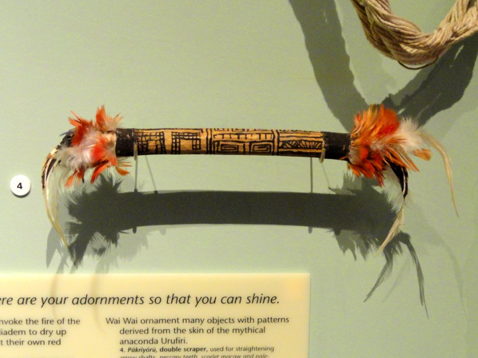 Scraper, Wai-wai people, peccary teeth with feathers - South American collection - Peabody Museum, Harvard University - DSC05683