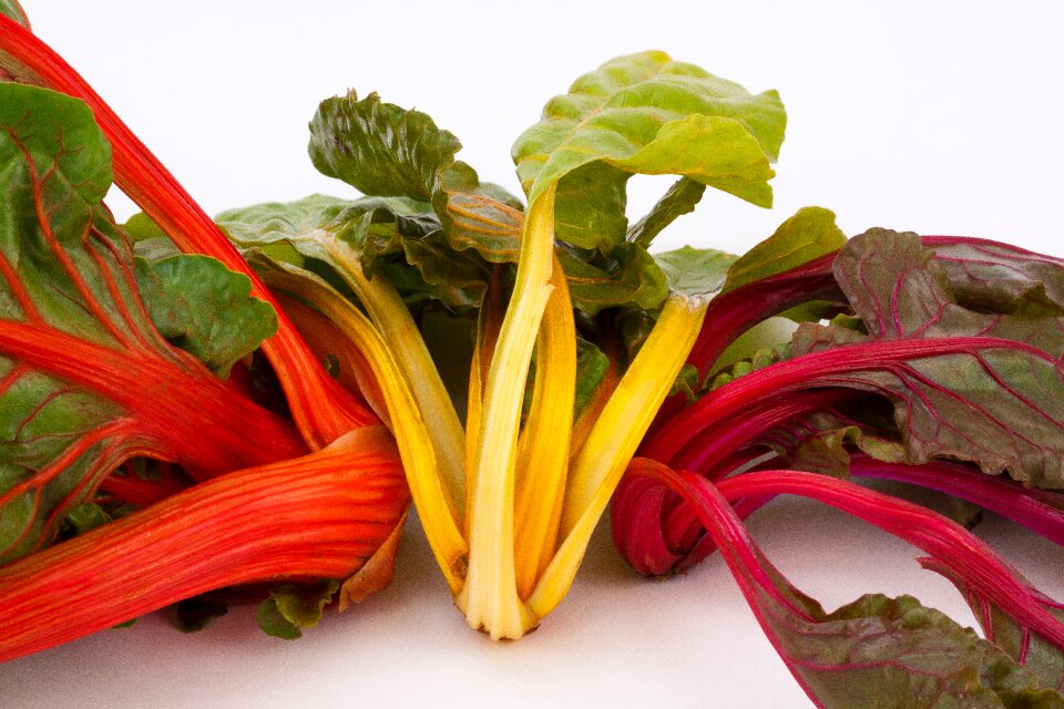 Vegetables vegetable plant leaf