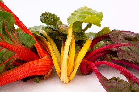 Vegetables vegetable plant leaf