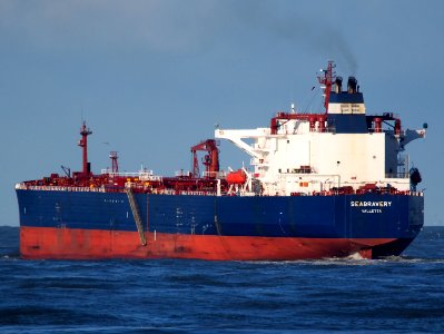 Seabravery (ship, 2005) IMO 9288734 leaving Rotterdam pic9