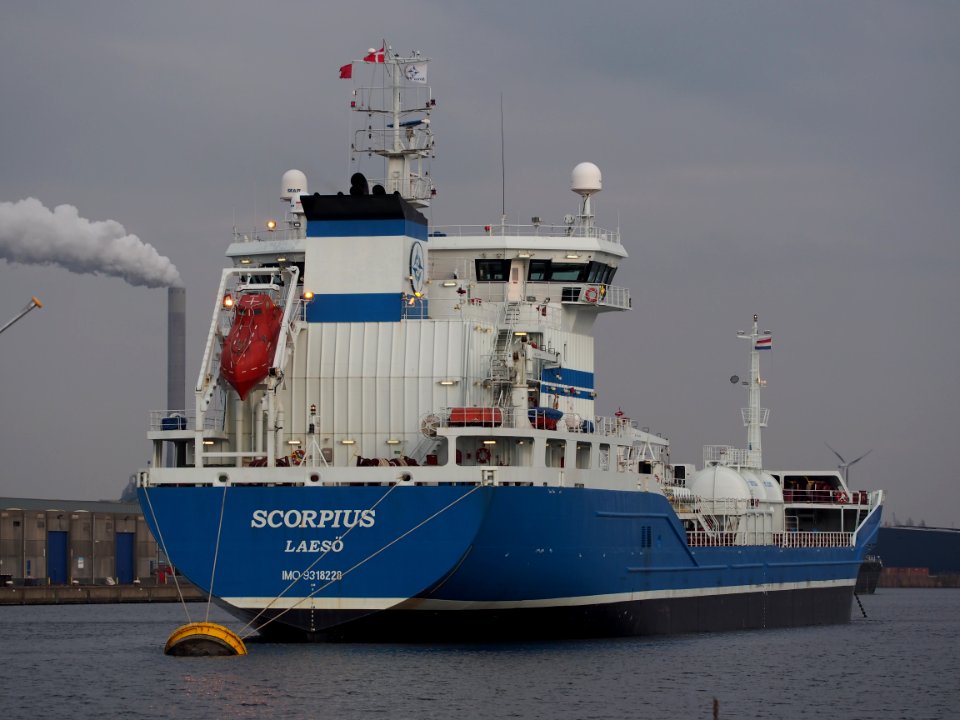 Scorpius IMO 9318228 in de Hornhaven, Port of Amsterdam, pic1