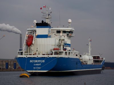 Scorpius IMO 9318228 in de Hornhaven, Port of Amsterdam, pic1