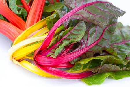 Vegetables vegetable plant leaf