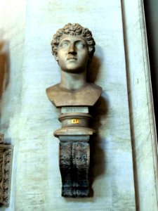 Sculpture no41 in the Vatican museum
