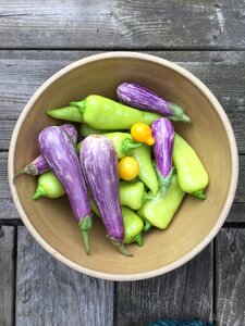 Peppers wood garden