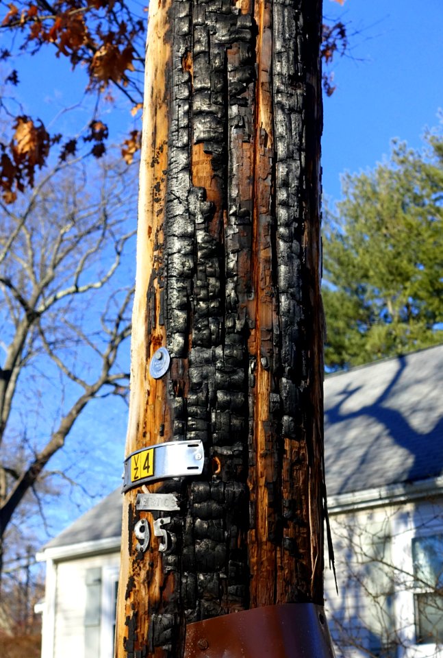 Scorched utility pole - Arlington, MA - DSC03955