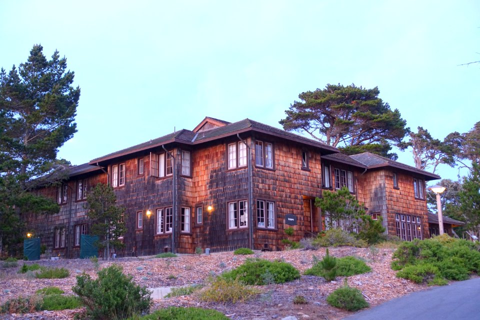 Scripps - Asilomar State Beach - DSC03009