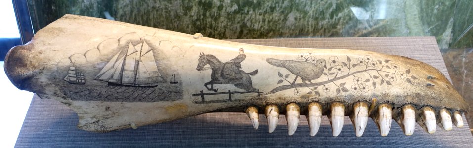 Scrimshaw, c. 1850-1900, orca jawbone, view 1 - San Francisco Maritime Museum - San Francisco, CA - DSC04080