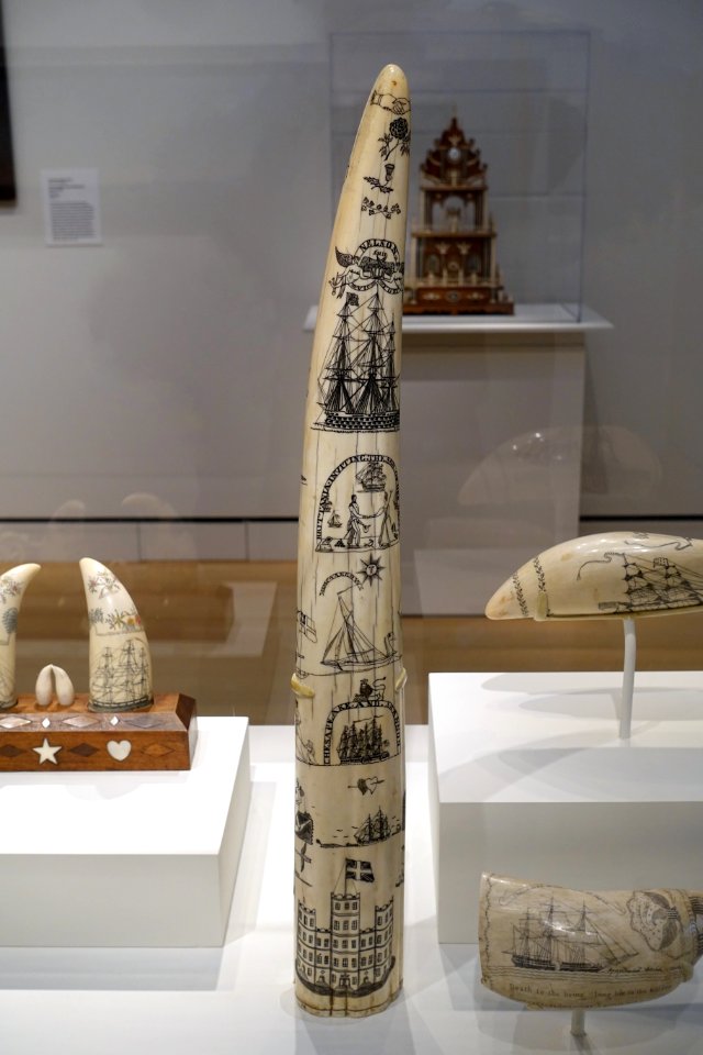Scrimshaw tusk, unknown artist on an unidentified British whaleship, mid 1800s, walrus tusk, blacking - Peabody Essex Museum - DSC07237