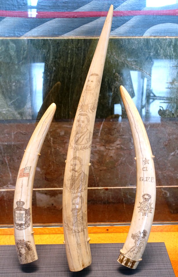 Scrimshaw, c. 1850-1900, walrus ivory - San Francisco Maritime Museum - San Francisco, CA - DSC04083