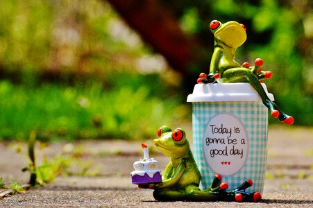 Frog coffee cup