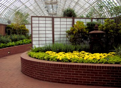 Serpentine Room, Phipps Conservatory, 2015-10-13, 02