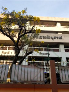 Santa Cruz Suksa School - 2017-02-25 (003)