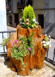 Santa Cruz de Campezo 05
