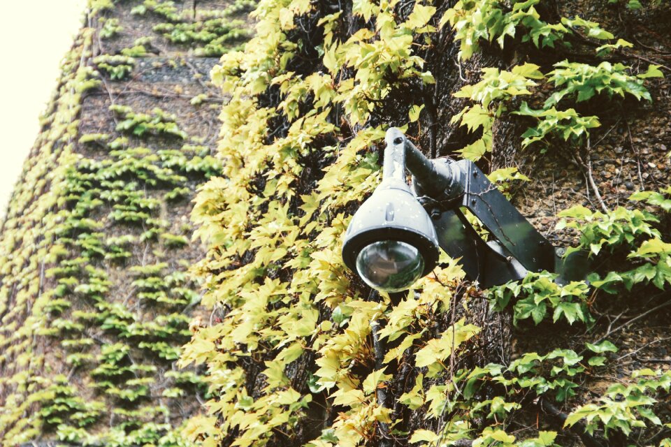 Film video surveillance surveillance camera