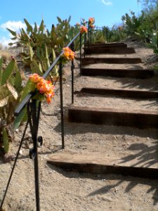 Santa Cruz de Globe (Arizona) stairway 1
