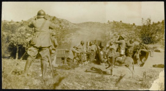 Serbian artillery in action, Bestanddeelnr 158-0702