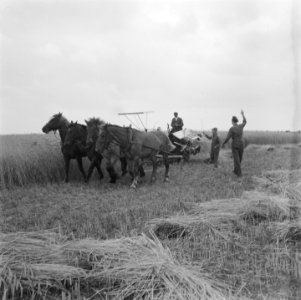 Serie over de hulp die de boeren van de Canadese troepen kregen Canadese milita, Bestanddeelnr 900-5517
