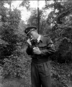 Serg. Molemans. Opdracht ADP, Bestanddeelnr 905-8210