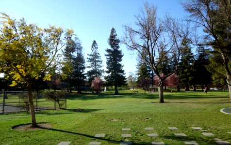 Santa Clara city park with lawn and trees