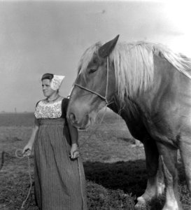 Serie Walcheren boer in Noordoostpolder Markenesse, Bestanddeelnr 903-6410